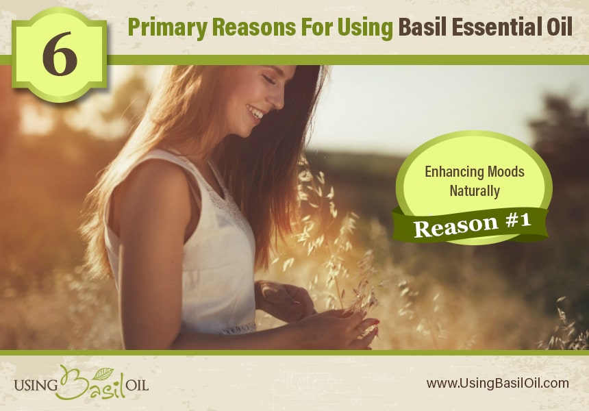  what can you use basil oil for